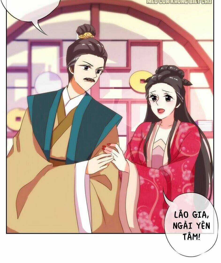 Ồ, Sủng Phi Đại Nhân Của Ta Chapter 12 trang 24