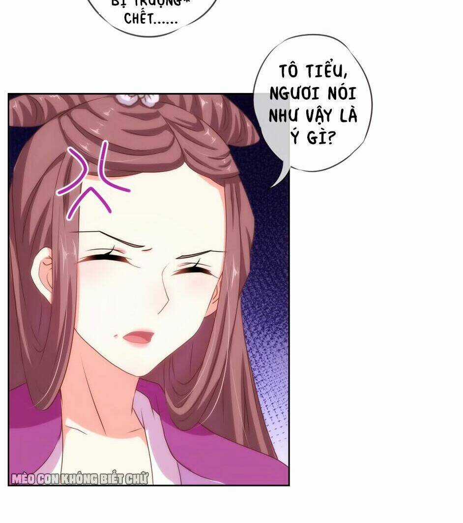 Ồ, Sủng Phi Đại Nhân Của Ta Chapter 13 trang 14