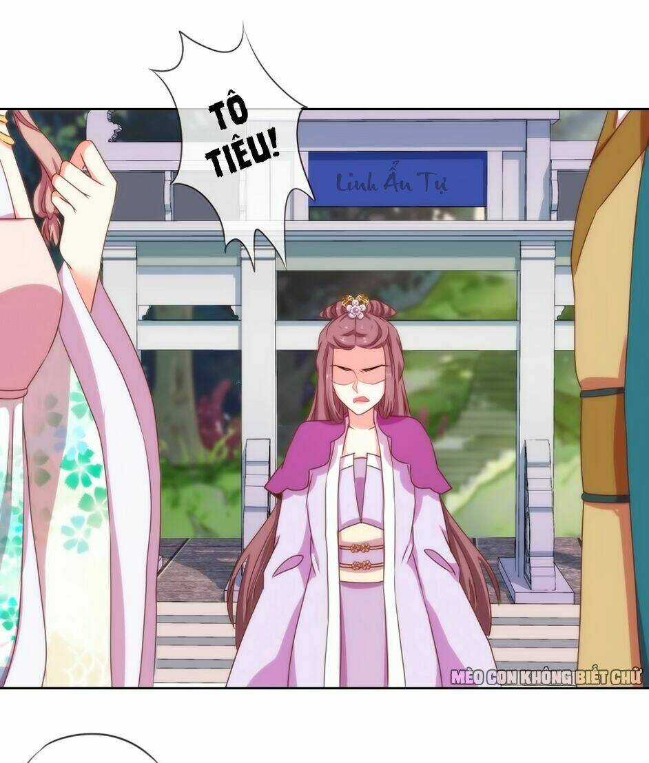 Ồ, Sủng Phi Đại Nhân Của Ta Chapter 14 trang 10