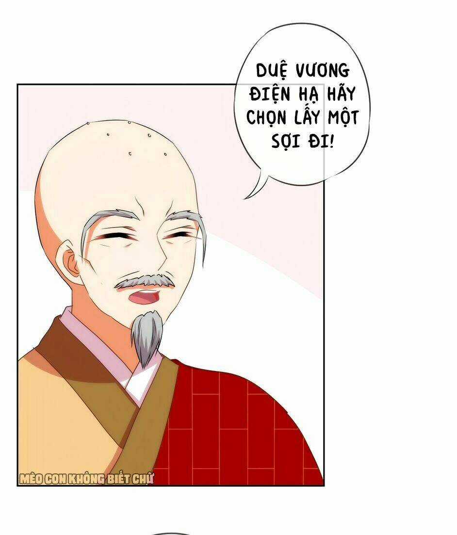Ồ, Sủng Phi Đại Nhân Của Ta Chapter 14 trang 30
