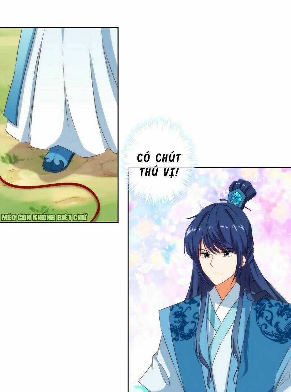 Ồ, Sủng Phi Đại Nhân Của Ta Chapter 16 trang 22