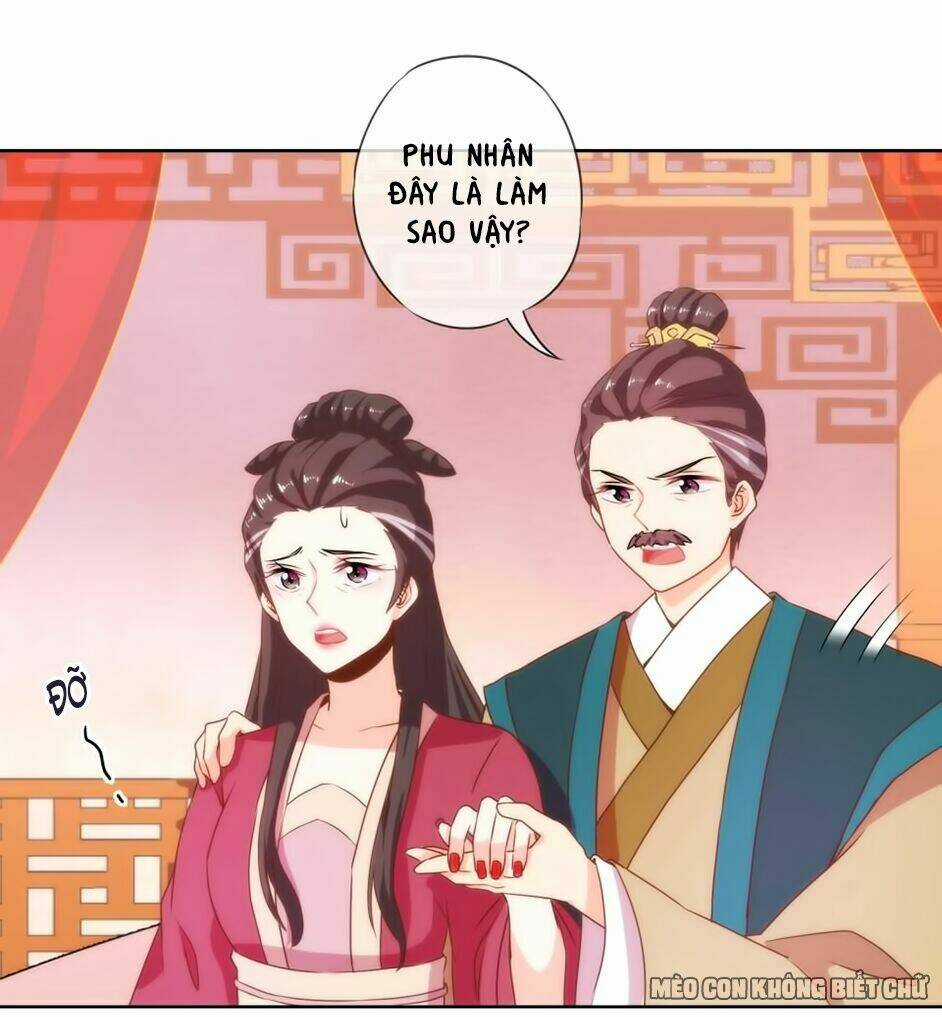 Ồ, Sủng Phi Đại Nhân Của Ta Chapter 2 trang 11