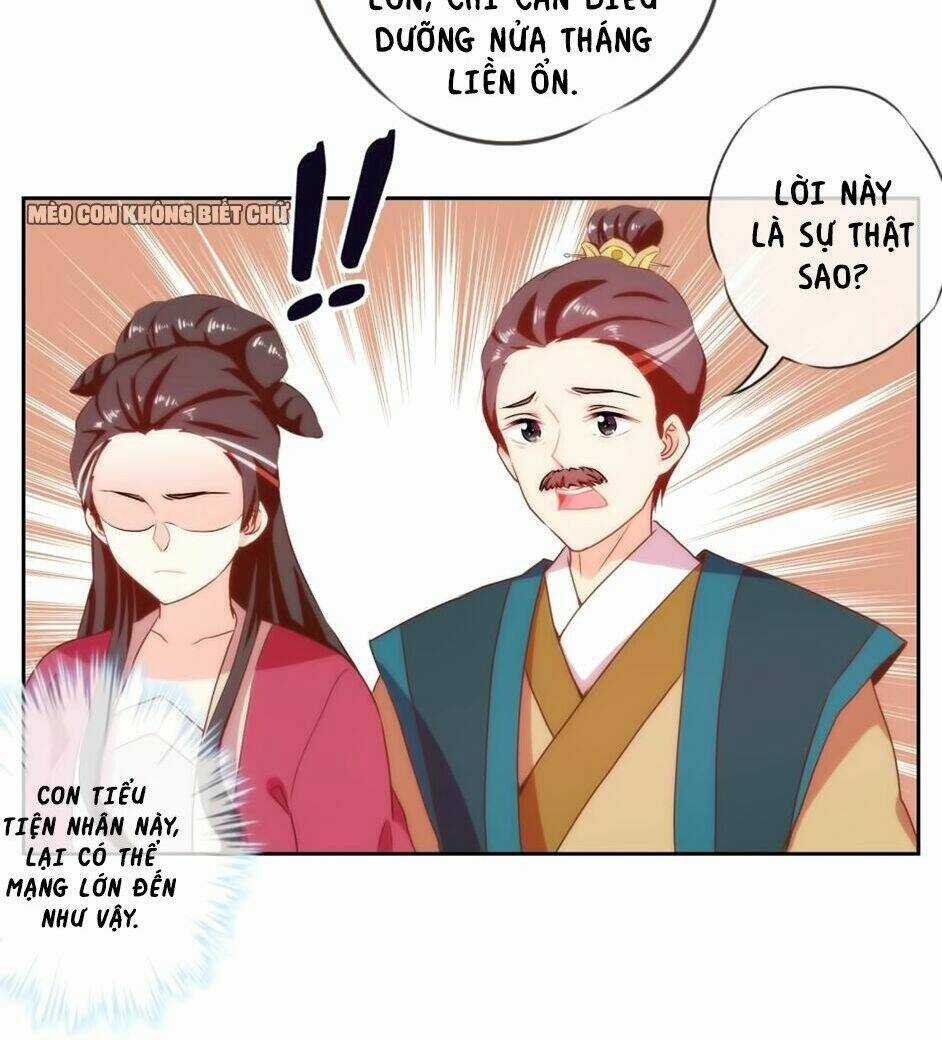 Ồ, Sủng Phi Đại Nhân Của Ta Chapter 2 trang 25