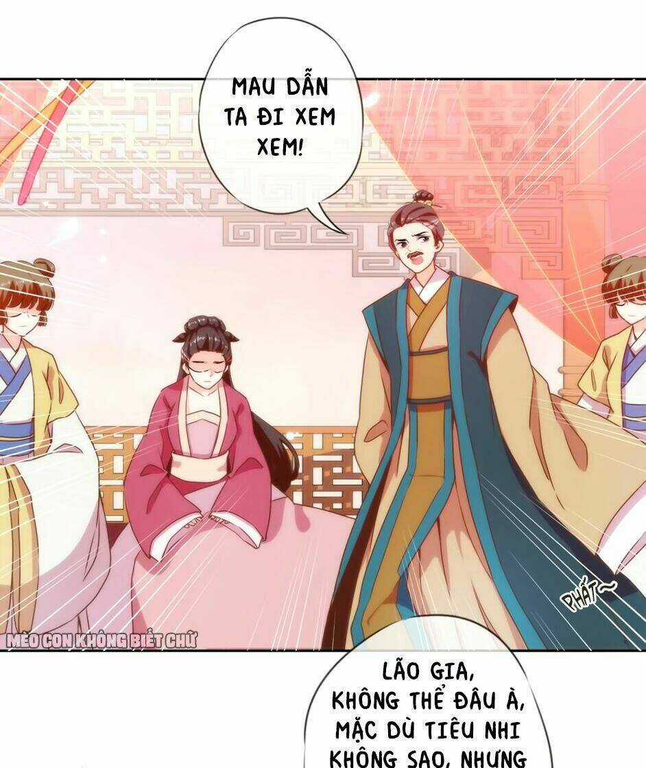 Ồ, Sủng Phi Đại Nhân Của Ta Chapter 2 trang 27