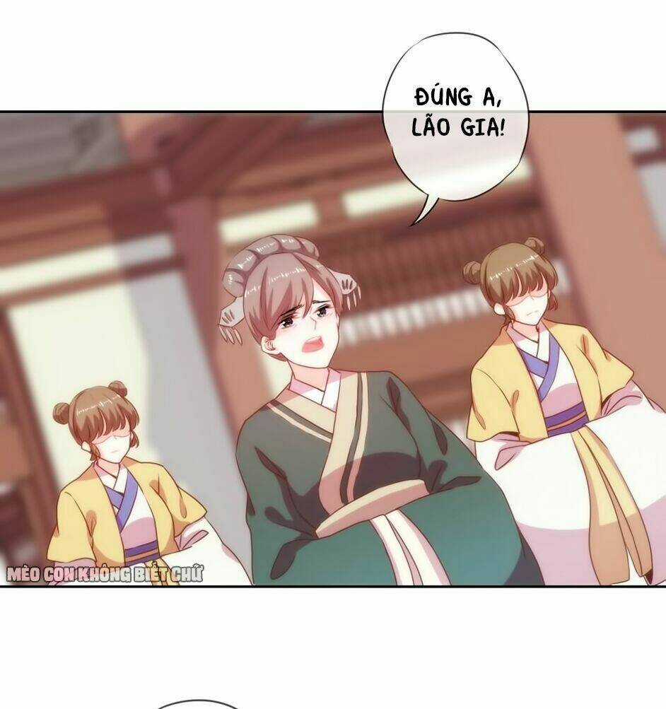 Ồ, Sủng Phi Đại Nhân Của Ta Chapter 2 trang 29