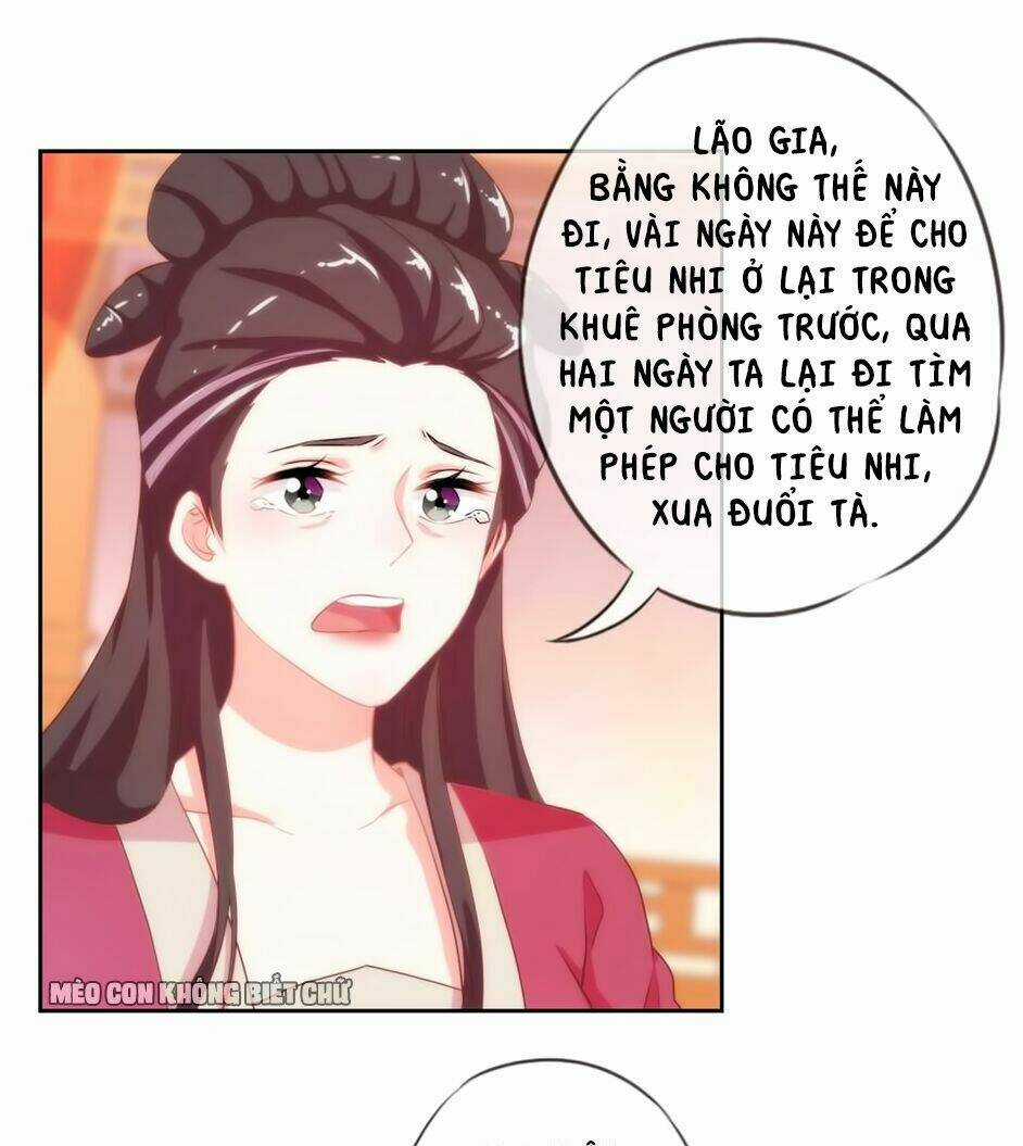 Ồ, Sủng Phi Đại Nhân Của Ta Chapter 2 trang 31