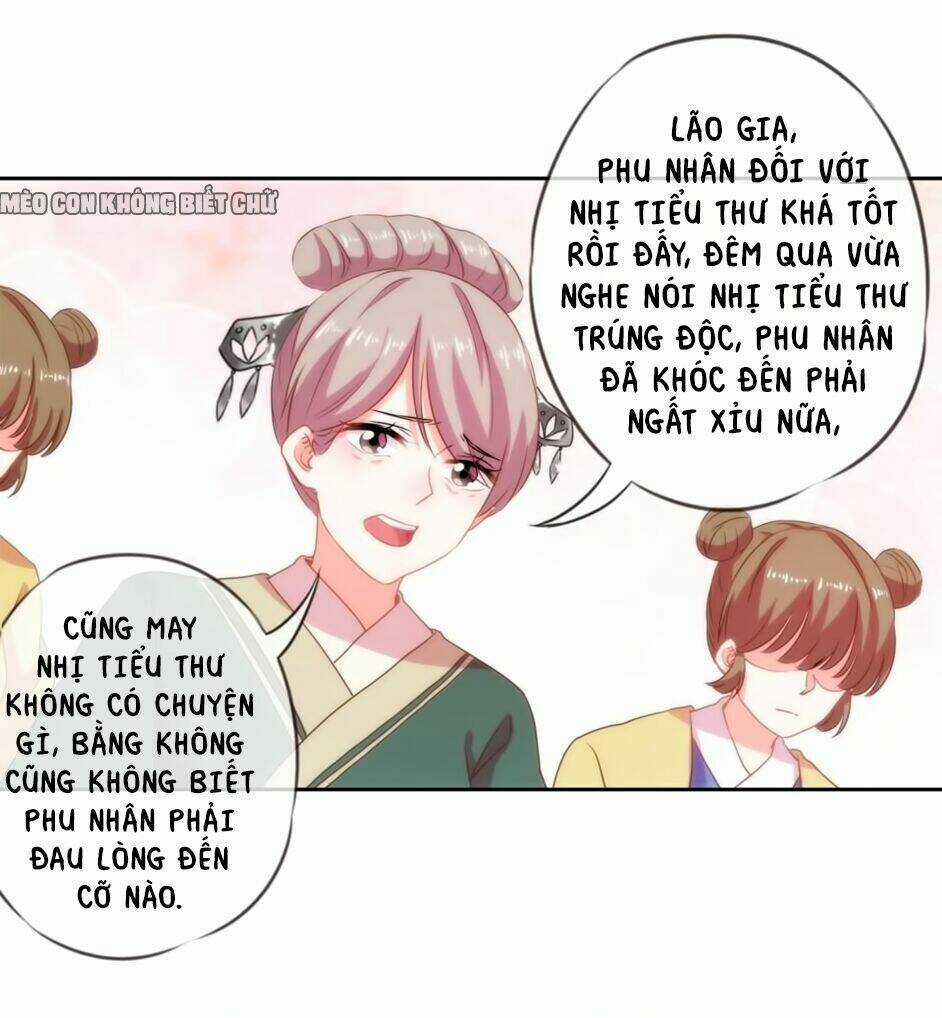 Ồ, Sủng Phi Đại Nhân Của Ta Chapter 2 trang 33