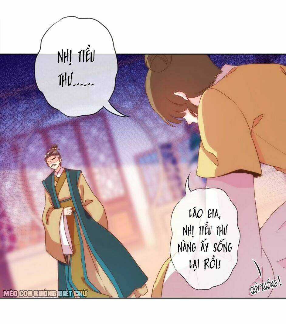 Ồ, Sủng Phi Đại Nhân Của Ta Chapter 2 trang 8