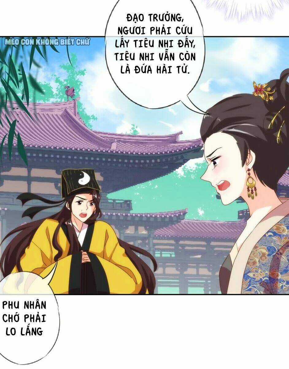 Ồ, Sủng Phi Đại Nhân Của Ta Chapter 3 trang 25