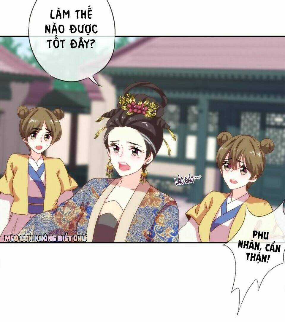 Ồ, Sủng Phi Đại Nhân Của Ta Chapter 3 trang 31