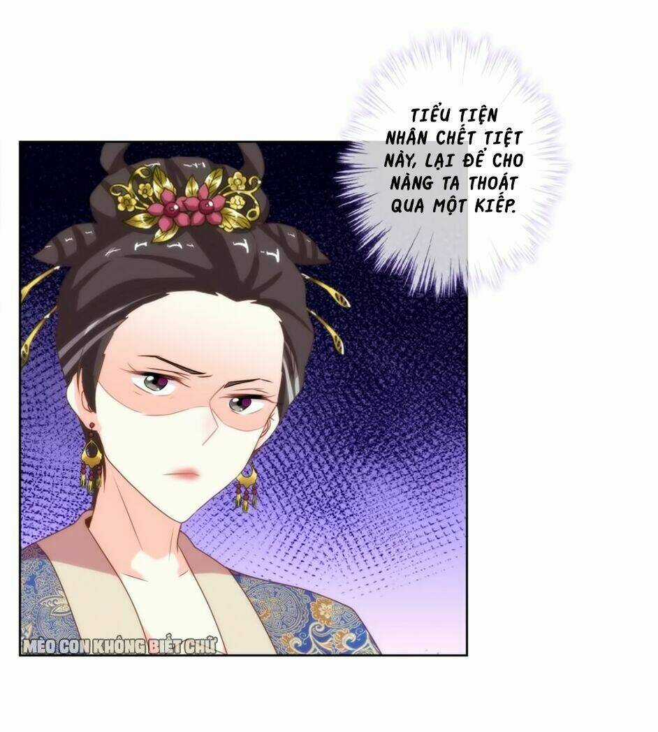 Ồ, Sủng Phi Đại Nhân Của Ta Chapter 4 trang 21