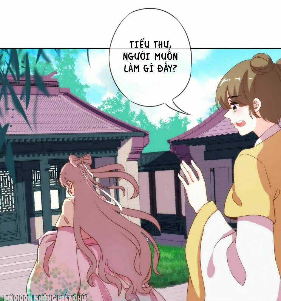 Ồ, Sủng Phi Đại Nhân Của Ta Chapter 5 trang 23