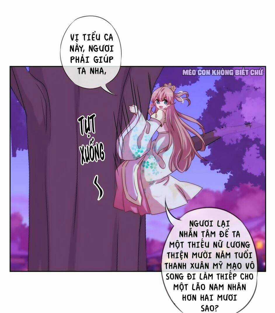 Ồ, Sủng Phi Đại Nhân Của Ta Chapter 7 trang 22