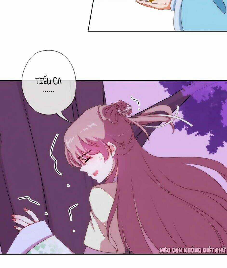 Ồ, Sủng Phi Đại Nhân Của Ta Chapter 7 trang 8