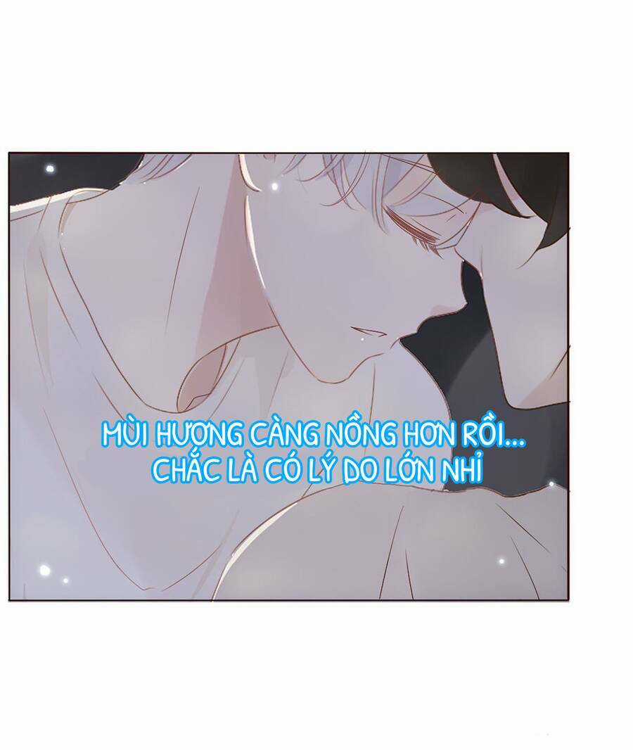 Ôm Hôn Mạc Nhiên Chapter 14 trang 3