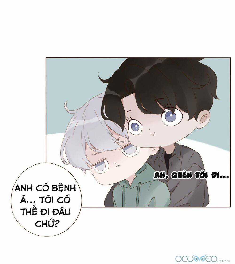 Ôm Hôn Mạc Nhiên Chapter 19 trang 13