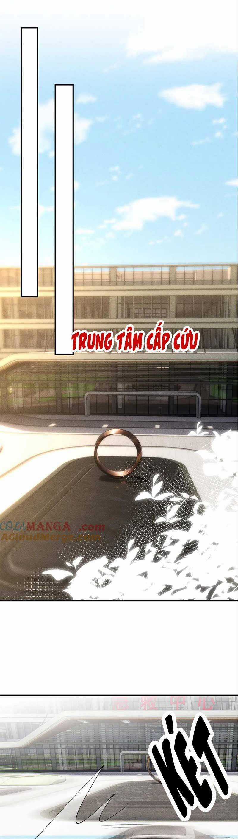 Ôm Khẩn Tiểu Mã Giáp Của Tôi Chương 309 trang 17