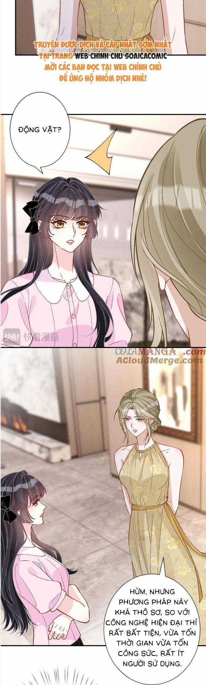 Ôm Khẩn Tiểu Mã Giáp Của Tôi Chương 368 trang 7