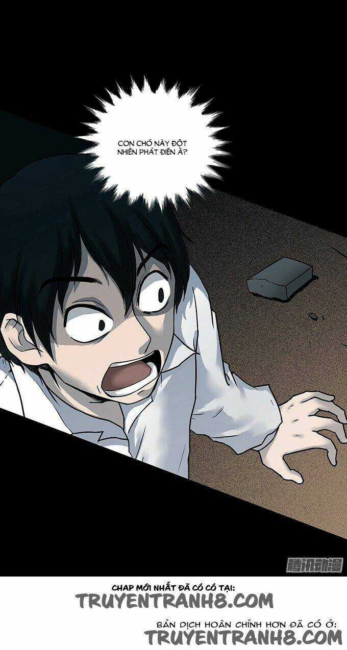 Ớn Lạnh Tuyệt Đối Chapter 96 trang 20