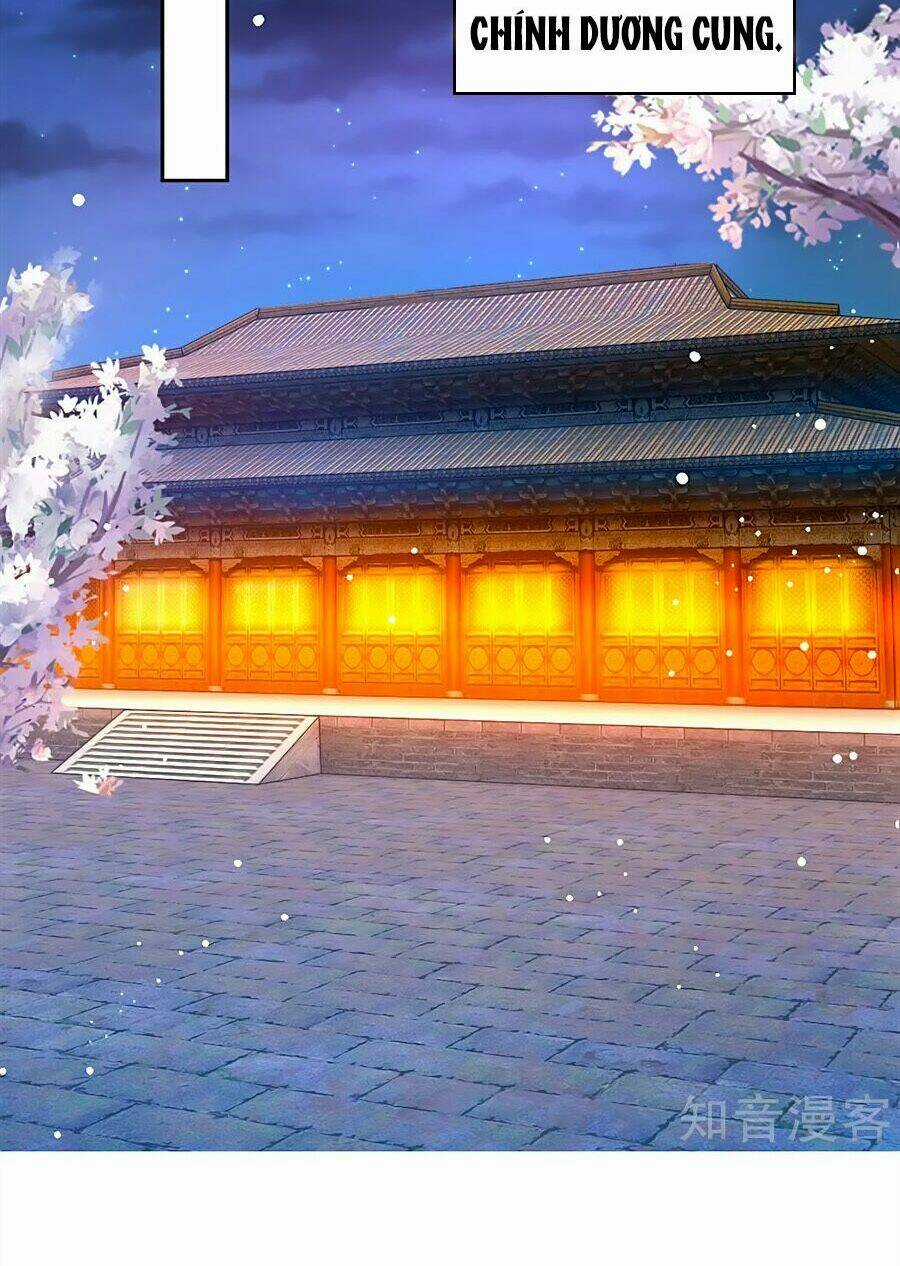 Ôn Nhu Bạo Quân: Nhiếp Chính Vương Gia Quá Hung Mãnh Chapter 18 trang 11