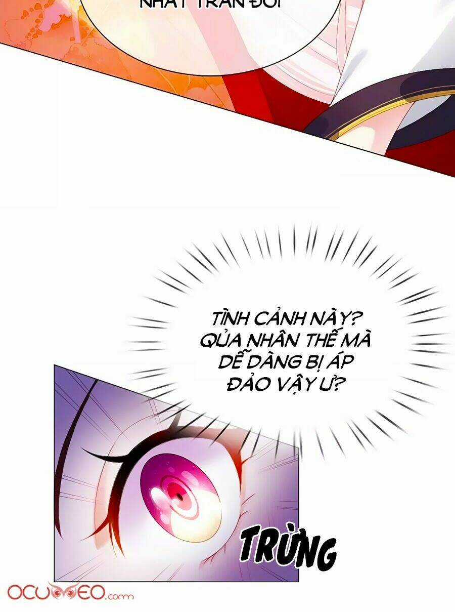 Ôn Nhu Bạo Quân: Nhiếp Chính Vương Gia Quá Hung Mãnh Chapter 4 trang 15