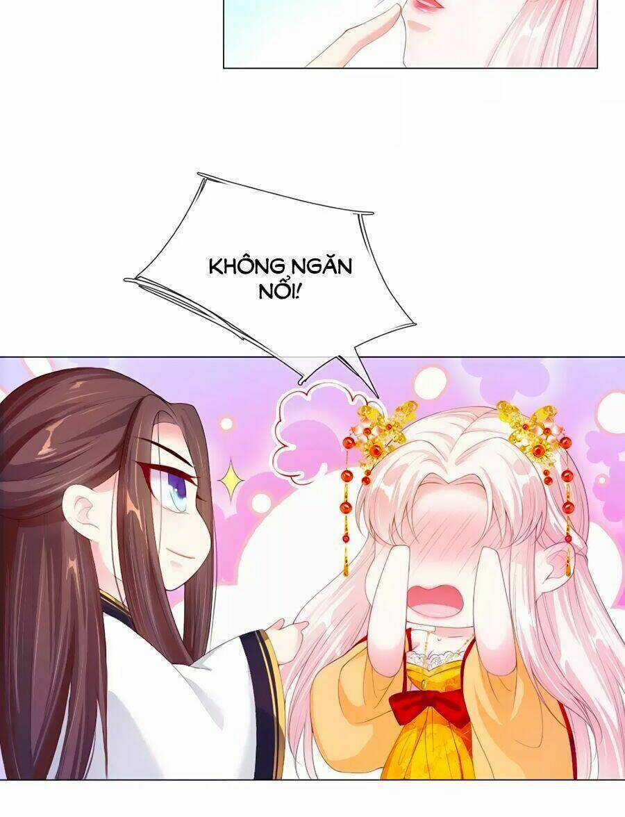 Ôn Nhu Bạo Quân: Nhiếp Chính Vương Gia Quá Hung Mãnh Chapter 4 trang 5