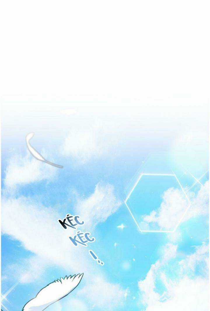 One Pair Lady Chapter 6 trang 18