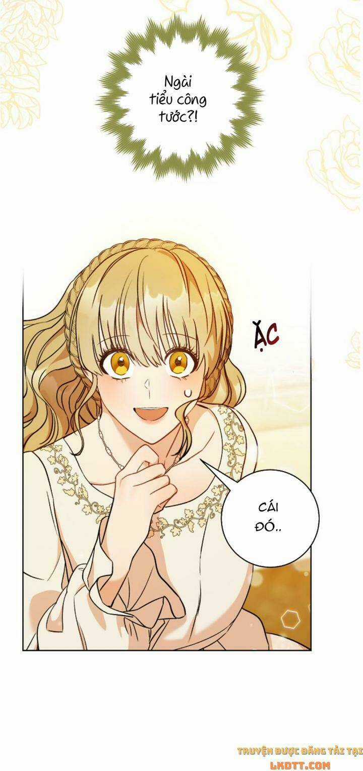 One Pair Lady Chapter 8 trang 3