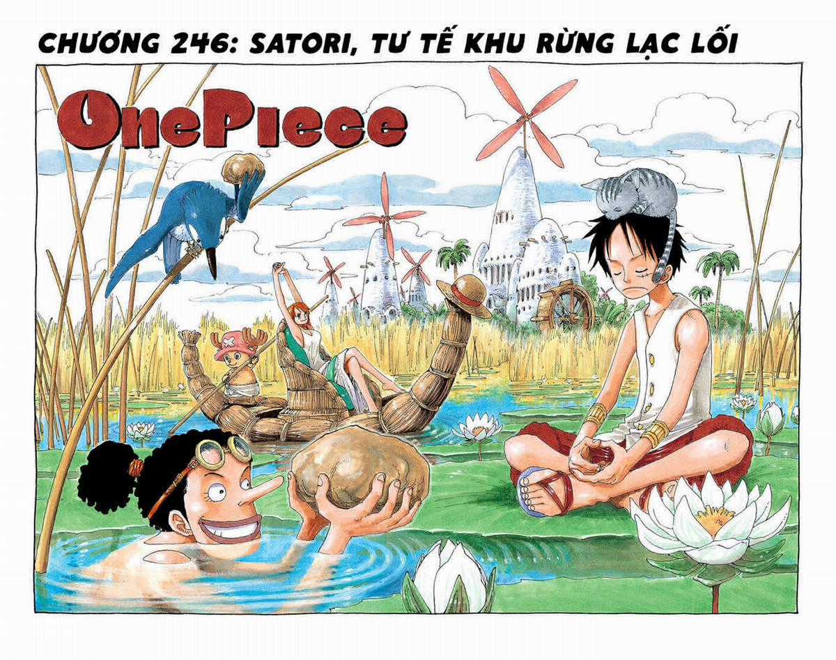 One Piece Color Chapter 246 trang 0