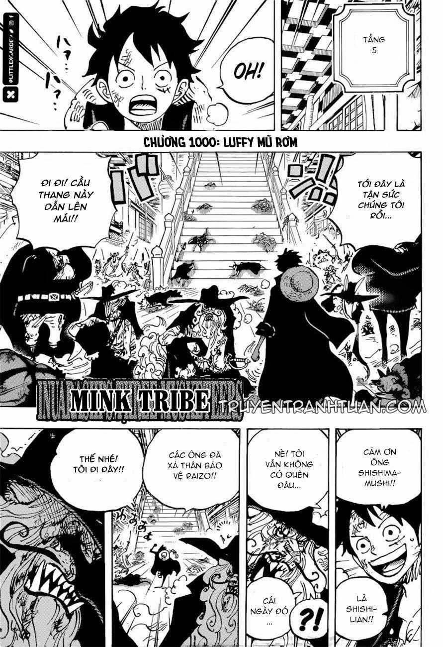 One Piece Chương 1000 trang 0