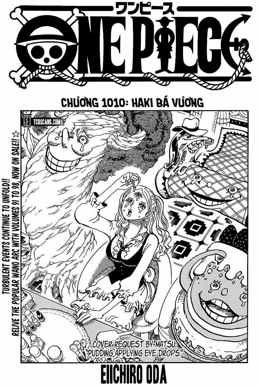 One Piece Chương 1010 trang 0