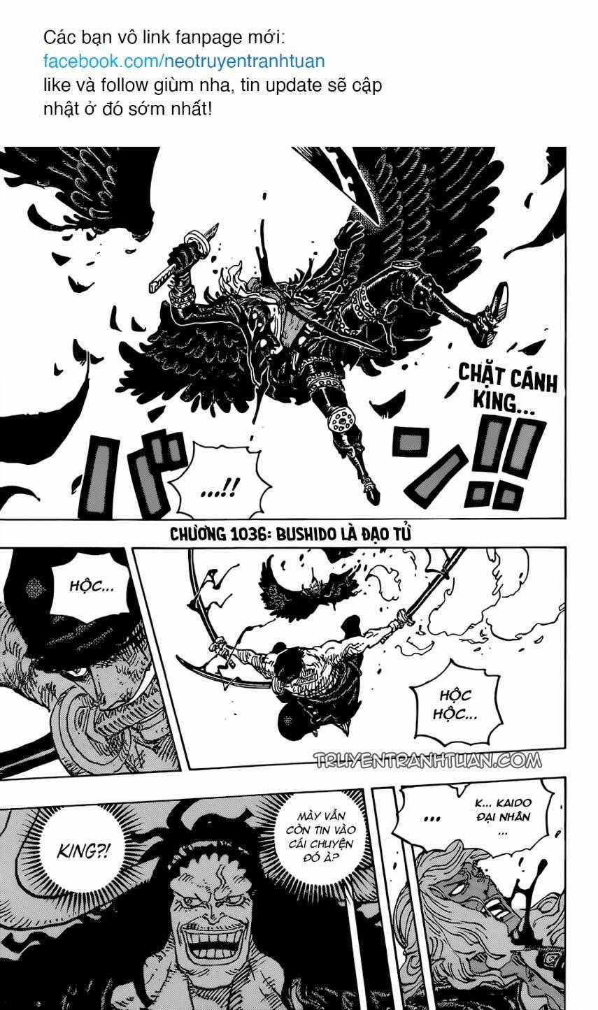 One Piece Chương 1036 trang 1