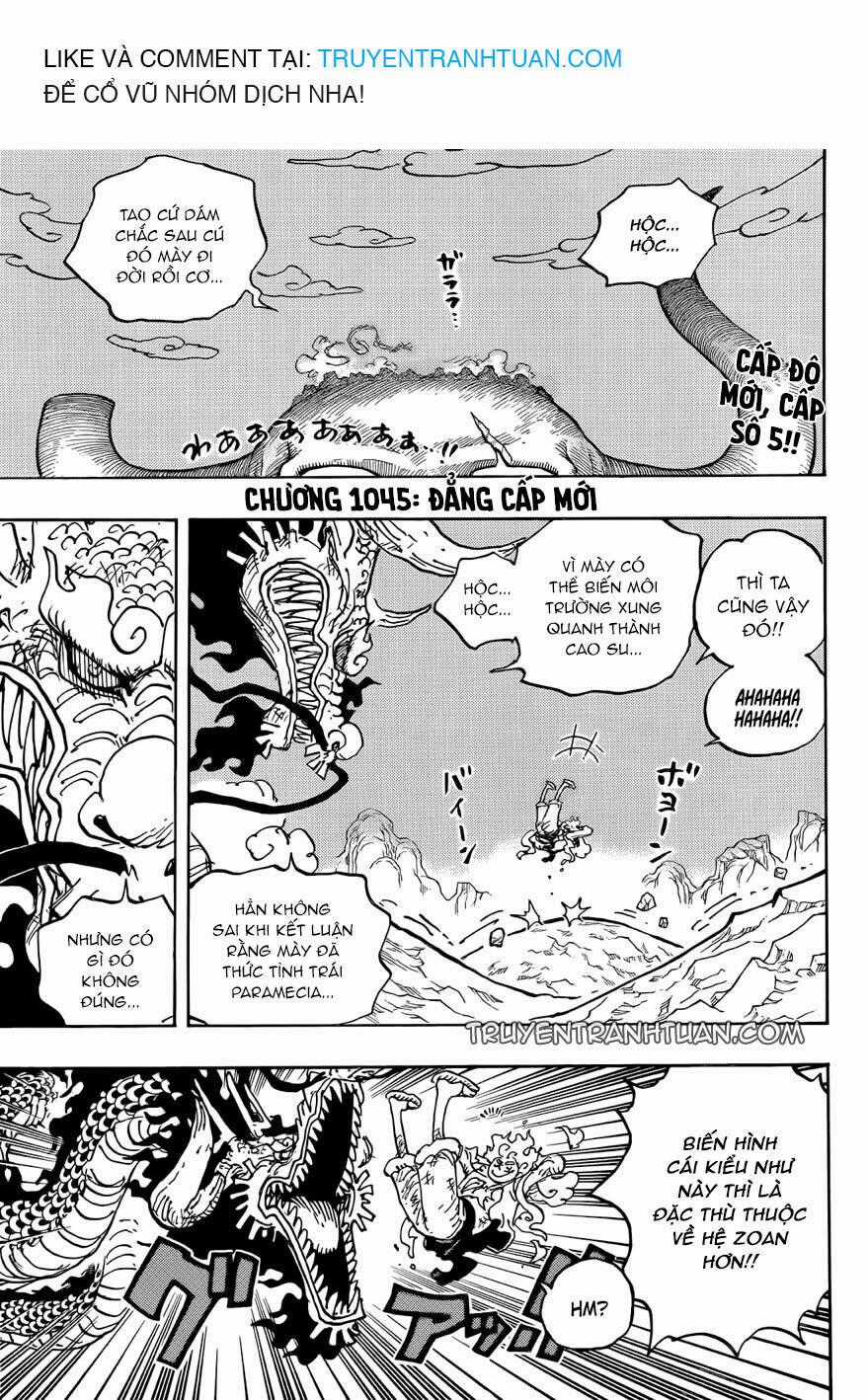 One Piece Chương 1045 trang 1