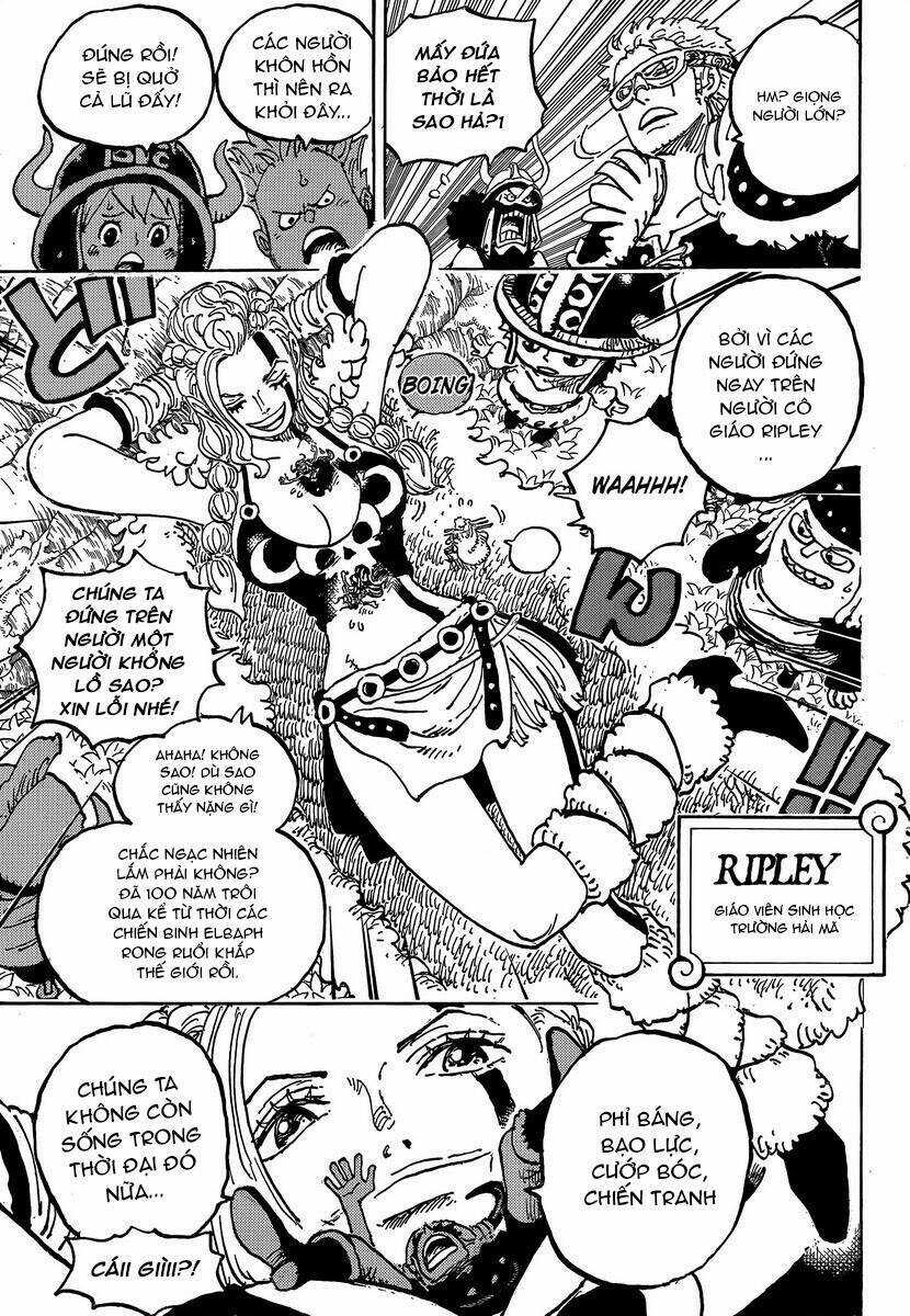 One Piece Chương 1134 trang 8