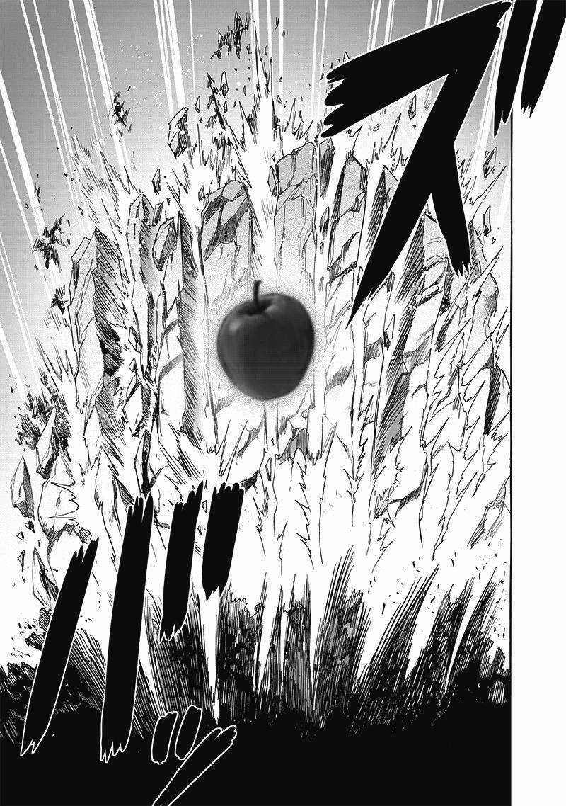One-Punch Man Chapter 233 trang 14
