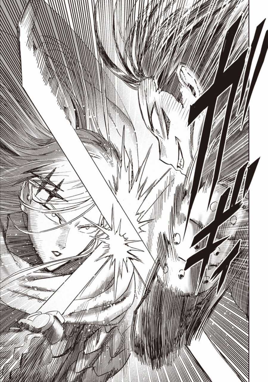 Onepunch Man Chapter 253 trang 9