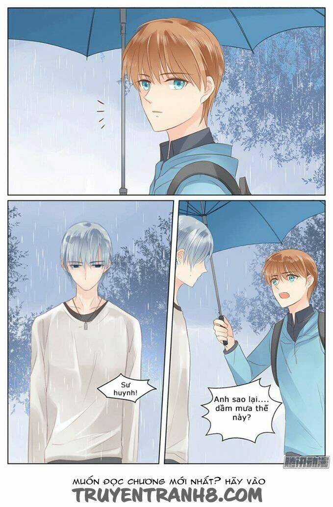 Ông Bố Đơn Thân Hàng Tỷ Chapter 10 trang 11