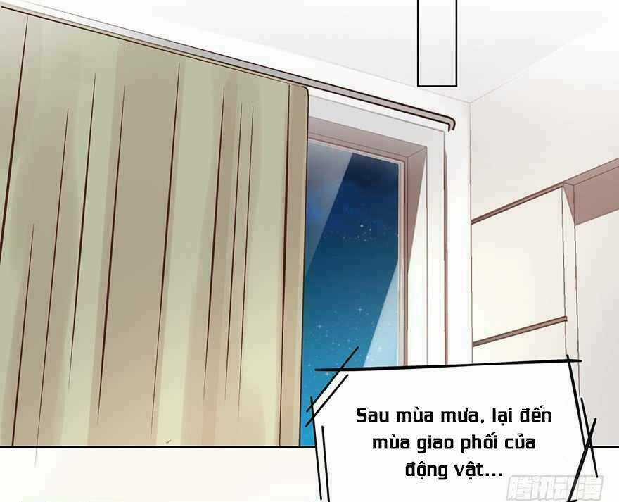 Ông Bố Đơn Thân Hàng Tỷ Chapter 137 trang 8