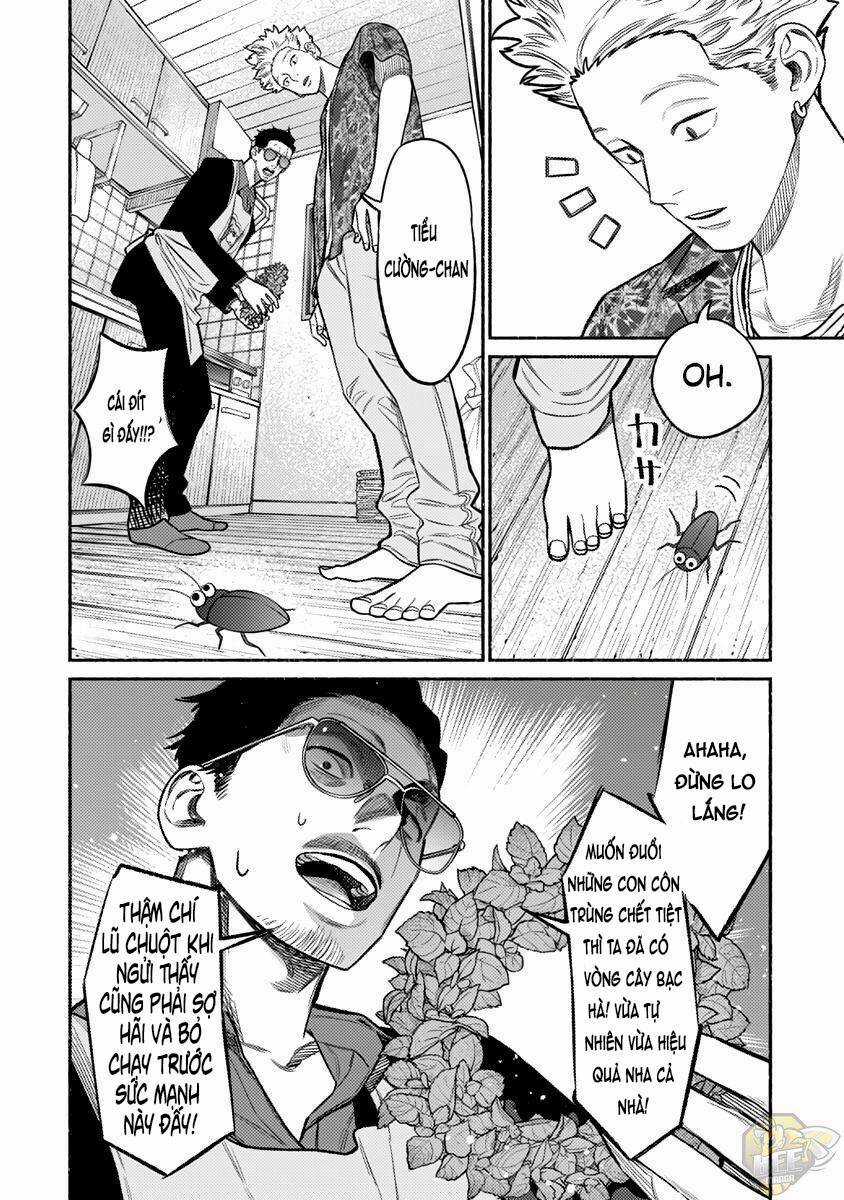 Ông Chồng Yakuza Nội Trợ Chapter 73 trang 12