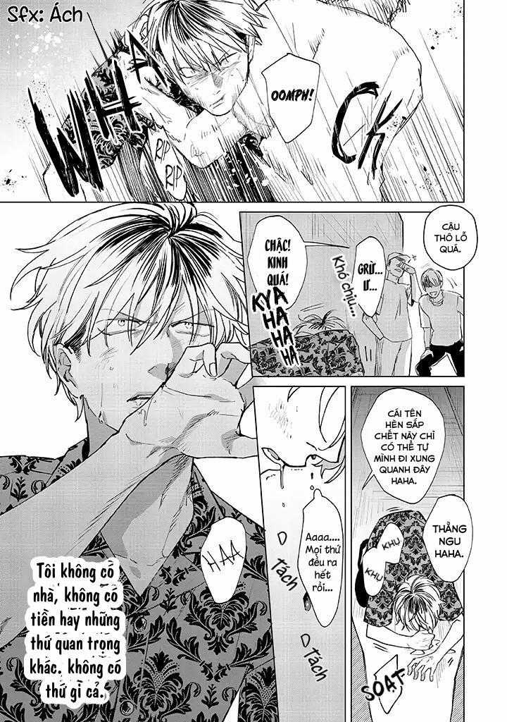 Ong Mật Và Tía Tô Đất Chapter 1 trang 2