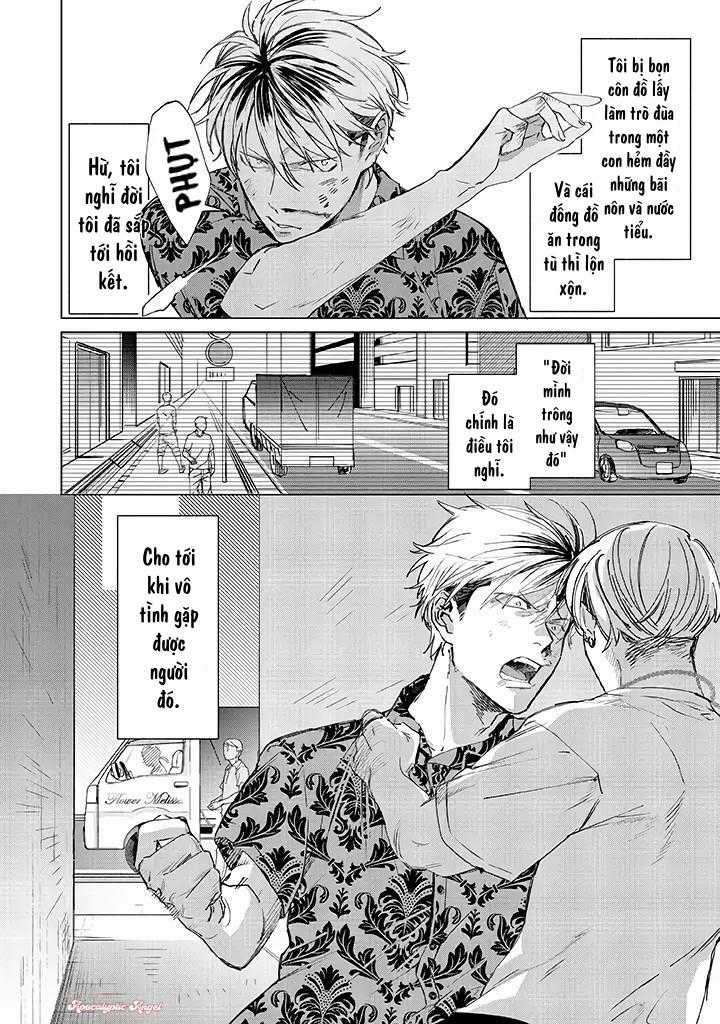 Ong Mật Và Tía Tô Đất Chapter 1 trang 3