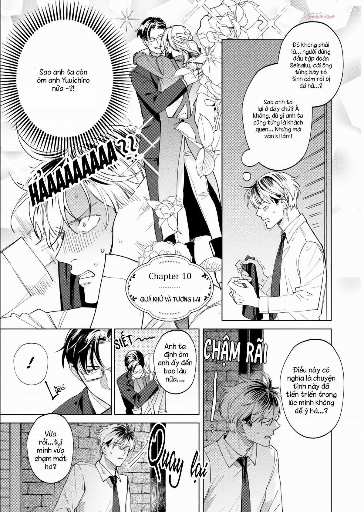 Ong Mật Và Tía Tô Đất Chapter 10 trang 2