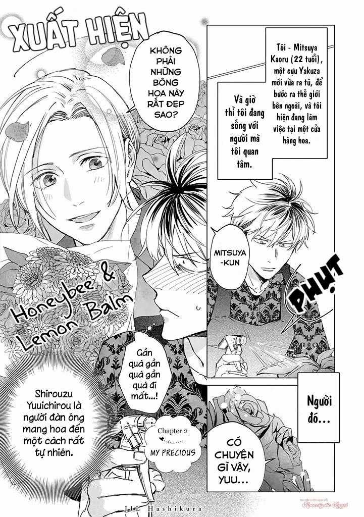 Ong Mật Và Tía Tô Đất Chapter 2 trang 2