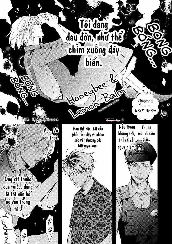 Ong Mật Và Tía Tô Đất Chapter 3 trang 2