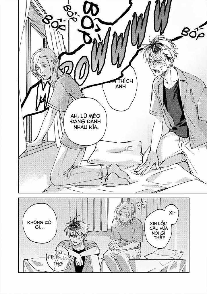 Ong Mật Và Tía Tô Đất Chapter 4 trang 23