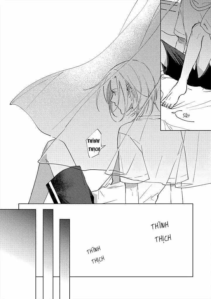 Ong Mật Và Tía Tô Đất Chapter 8 trang 17
