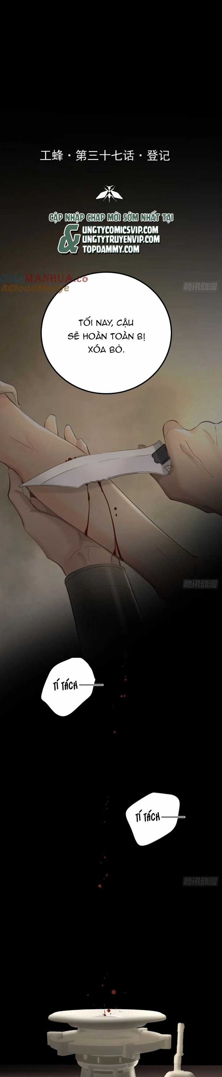 Ong Thợ Chapter 38 trang 1