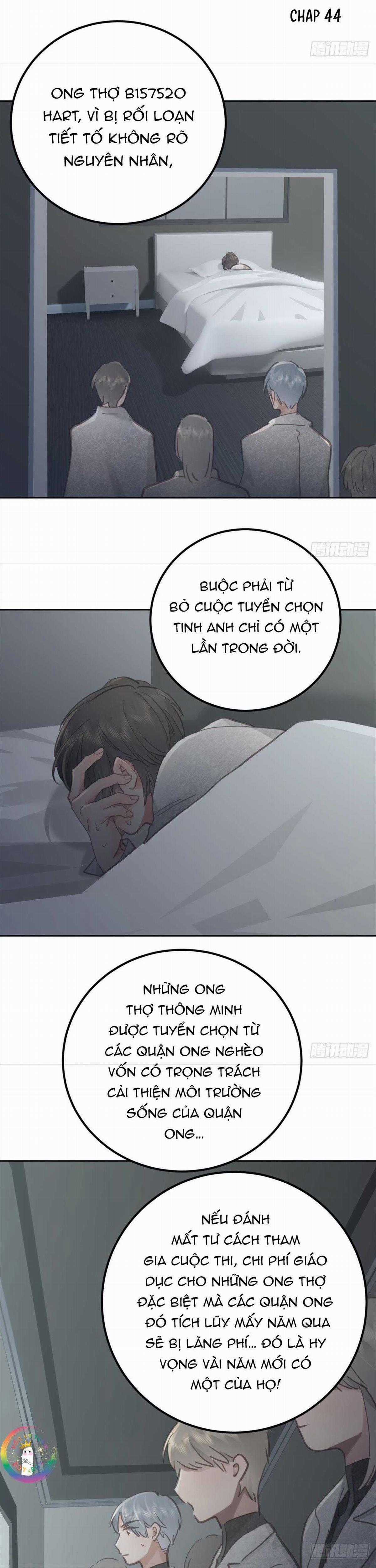 Ong Thợ Chapter 68 trang 14
