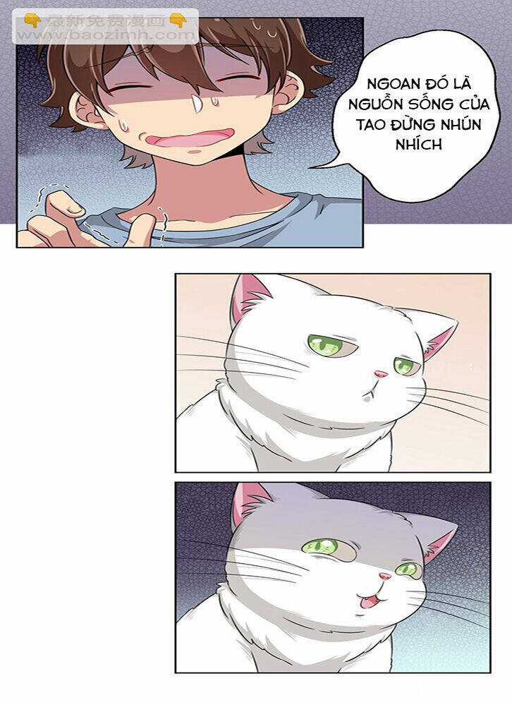 Ông Trời Đã Ban Cho Tôi Siêu Năng Lực Kỳ Lạ Gì Thế Này? Chương 10 trang 24