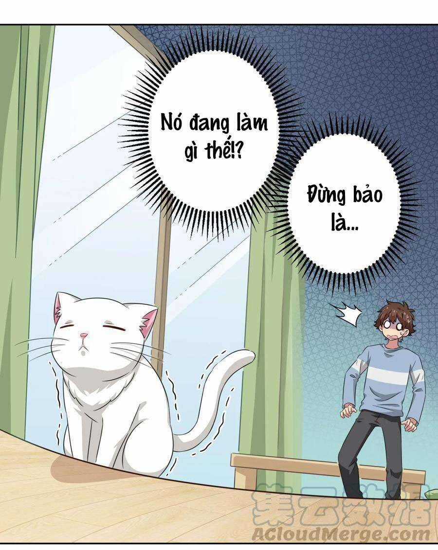 Ông Trời Đã Ban Cho Tôi Siêu Năng Lực Kỳ Lạ Gì Thế Này? Chương 8 trang 14